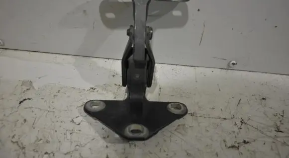 BMW X5 E70 Tailgate/trunk/boot hinge 14187910