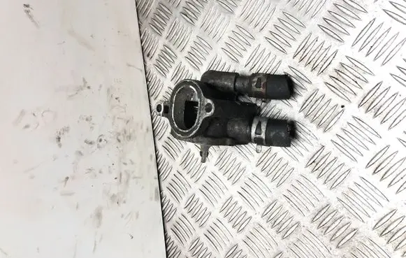 Thermostat/thermostat housing
