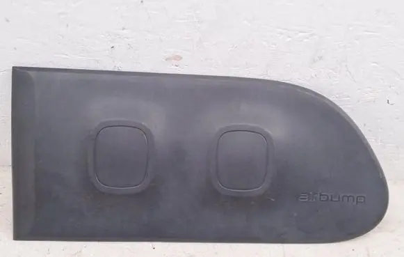 Citroen C3 Rear door trim (molding) 9813094477
