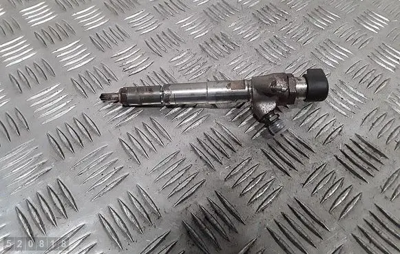 Dacia Duster Fuel injector 166008052R H8200704191