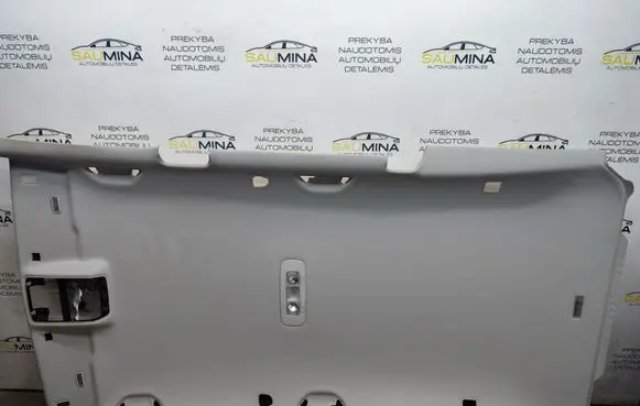 Volkswagen PASSAT B7 Headlining 3AF867501G 3C0868519