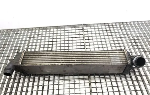 Renault Laguna III Intercooler radiator 144960001R