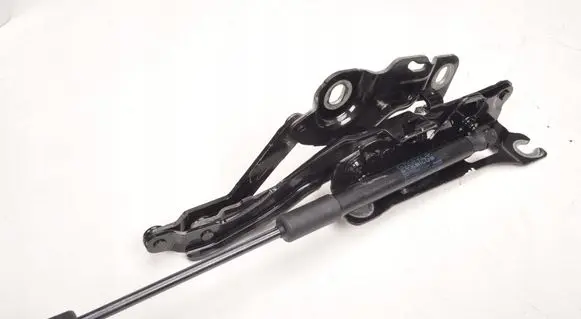BMW Z4 g29 Engine bonnet/hood hinges 7435543 7435480 PRAWY