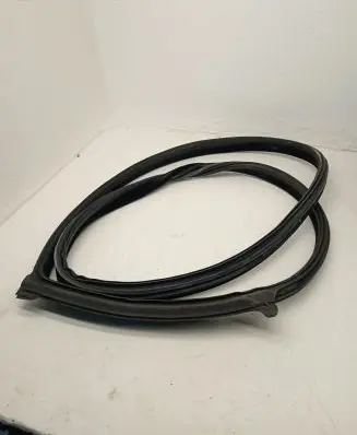 BMW M6 Rear door rubber seal (on body) 7275315