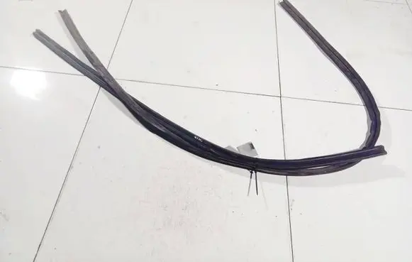 Audi A4 S4 B7 8E 8H Rubber seal front coupe door 
