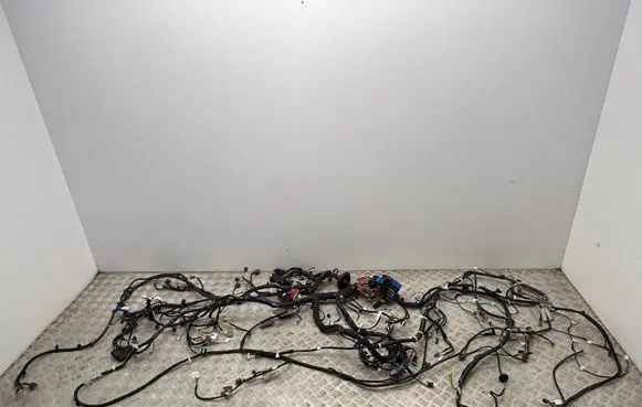 Dacia Spring Other wiring loom 240103819R