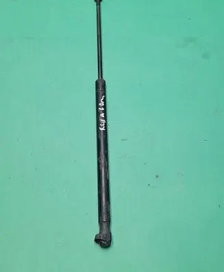 Tailgate/trunk strut/damper