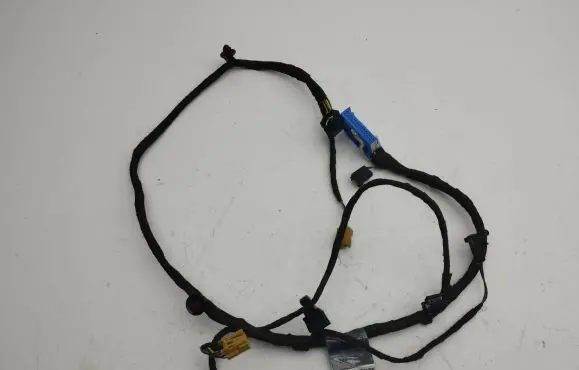 Audi Q2 - Front door wiring loom 81a971035bd