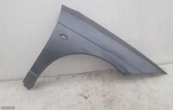 Citroen C6 Fender