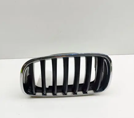 BMW X6 E71 Front grill 7171395