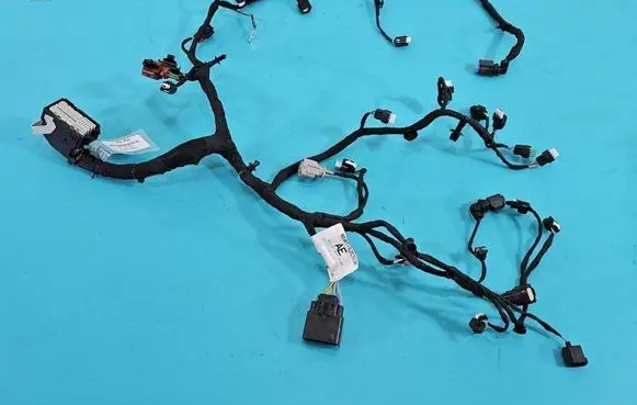 Other wiring loom