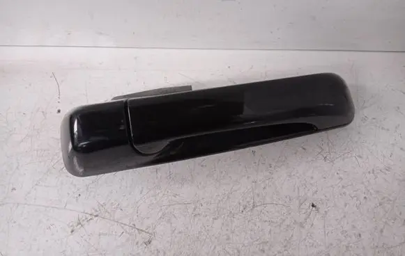 Jeep Grand Cherokee (WK) Rear door exterior handle 5HS56TRMA