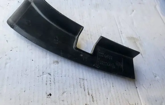 Rear/tail light trim molding