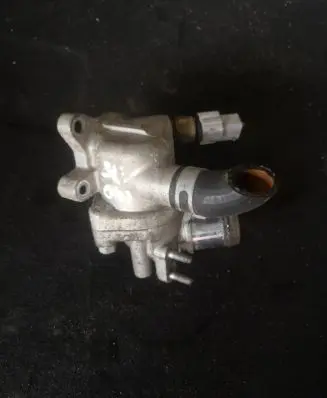 Thermostat/thermostat housing