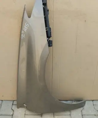Renault Laguna III Fender BLOTNIKLAGUNARH