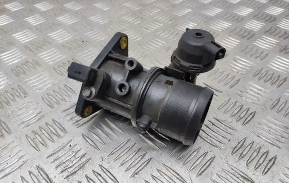 Citroen C5 Throttle valve 9660110780