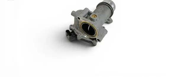 Mercedes-Benz A W177 Throttle body valve 161A03415R 52501