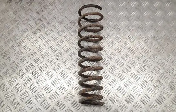 Front coil spring