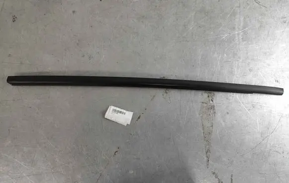 Renault Zoe Rear door glass trim molding 828215008R