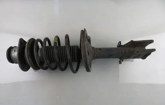 Fiat Doblo Front shock absorber with coil spring