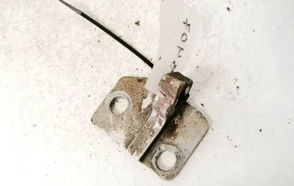 Volkswagen PASSAT B6 Rear door lower hinge