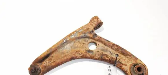 Front lower control arm/wishbone