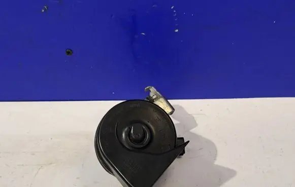 Horn signal