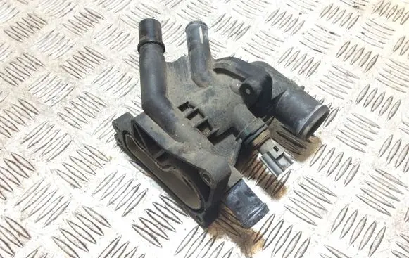 Thermostat/thermostat housing