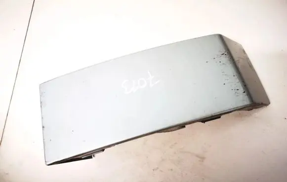 Rear/tail light trim molding