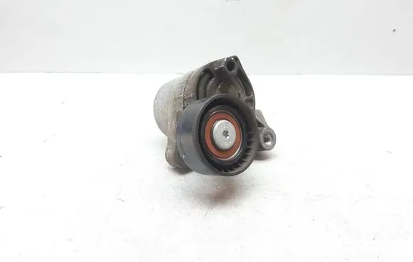 BMW X1 E84 Generator/alternator belt tensioner