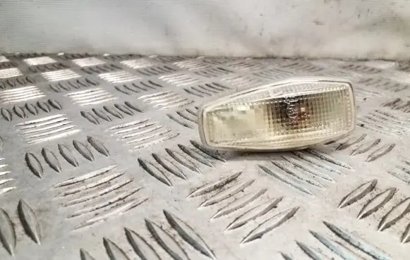 Front fender indicator light