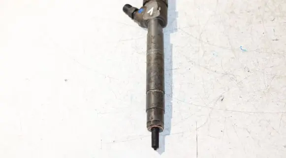Mercedes-Benz S W220 Fuel injector A6280700387 0445110094
