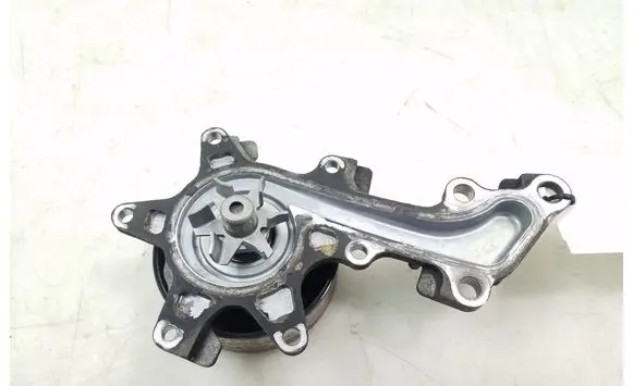 Toyota Urban Cruiser (XP110) Water pump 1610080004