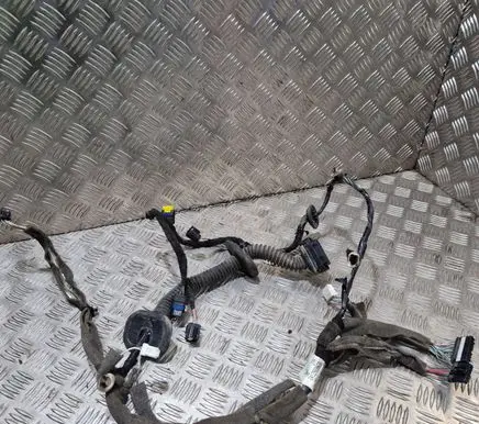 Renault Megane III Front door wiring loom 241252380R