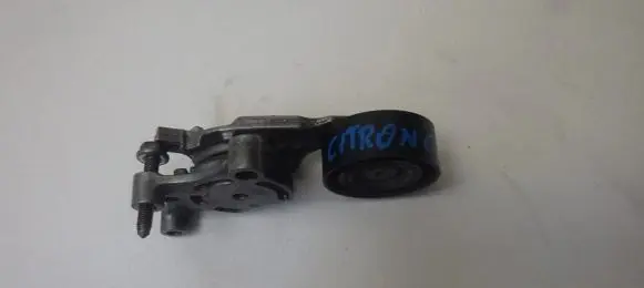 Citroen C5 Timing belt tensioner 