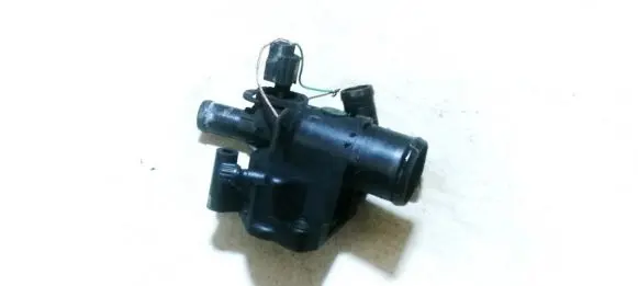 Nissan Qashqai Engine coolant pipe/hose 8200801570