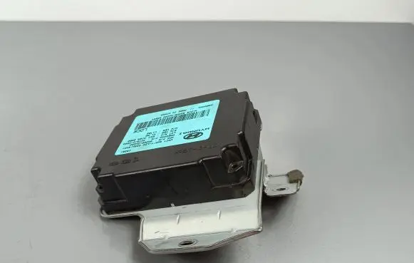 Hyundai Santa Fe Other control units/modules 953002W200