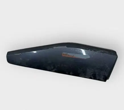 Rear door trim (molding)