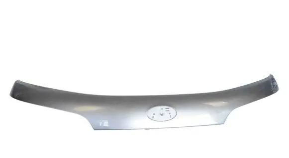 Trunk door license plate light bar