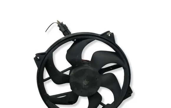 Citroen C4 I Electric radiator cooling fan 1831294016