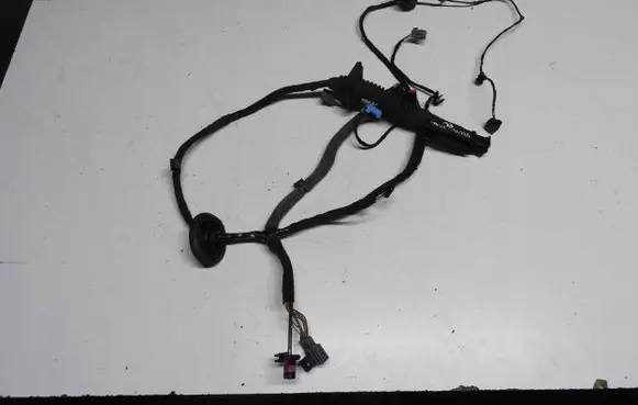 Front door wiring loom