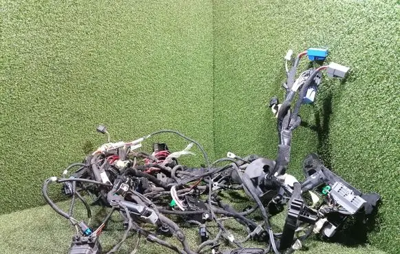 Renault Espace V (RFC) Other wiring loom 403889015R 115122493R