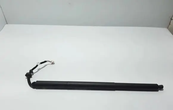 Tailgate strut