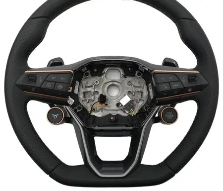 Cupra Terramar Steering wheel 5FF419091C