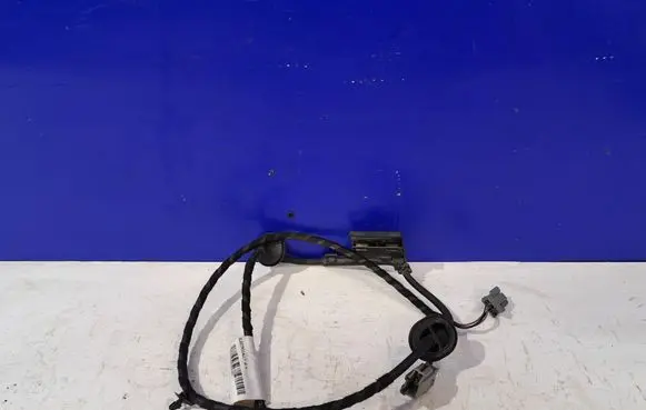 Other wiring loom
