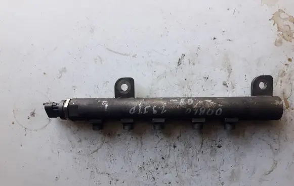 Fiat Doblo Fuel distributor 0445214095