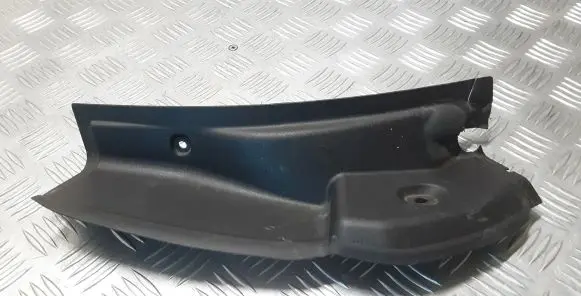 Rear/tail light trim molding
