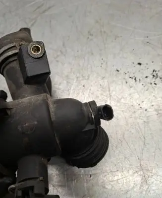 Thermostat/thermostat housing