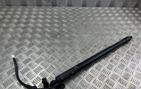 Lexus NX Tailgate/trunk strut/damper 6892078032 3092751003