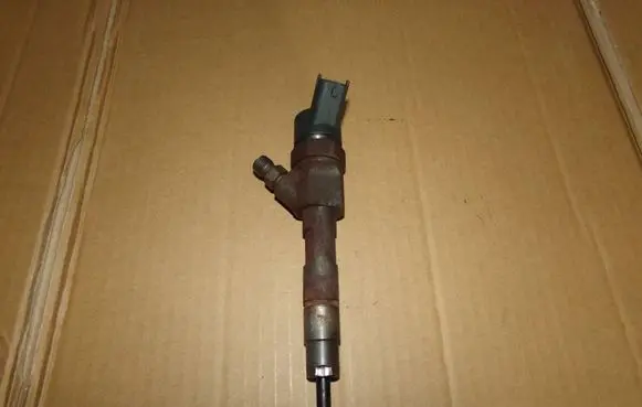 Renault Scenic I Fuel injector 0445110021